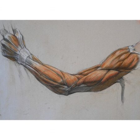 portfolio-image