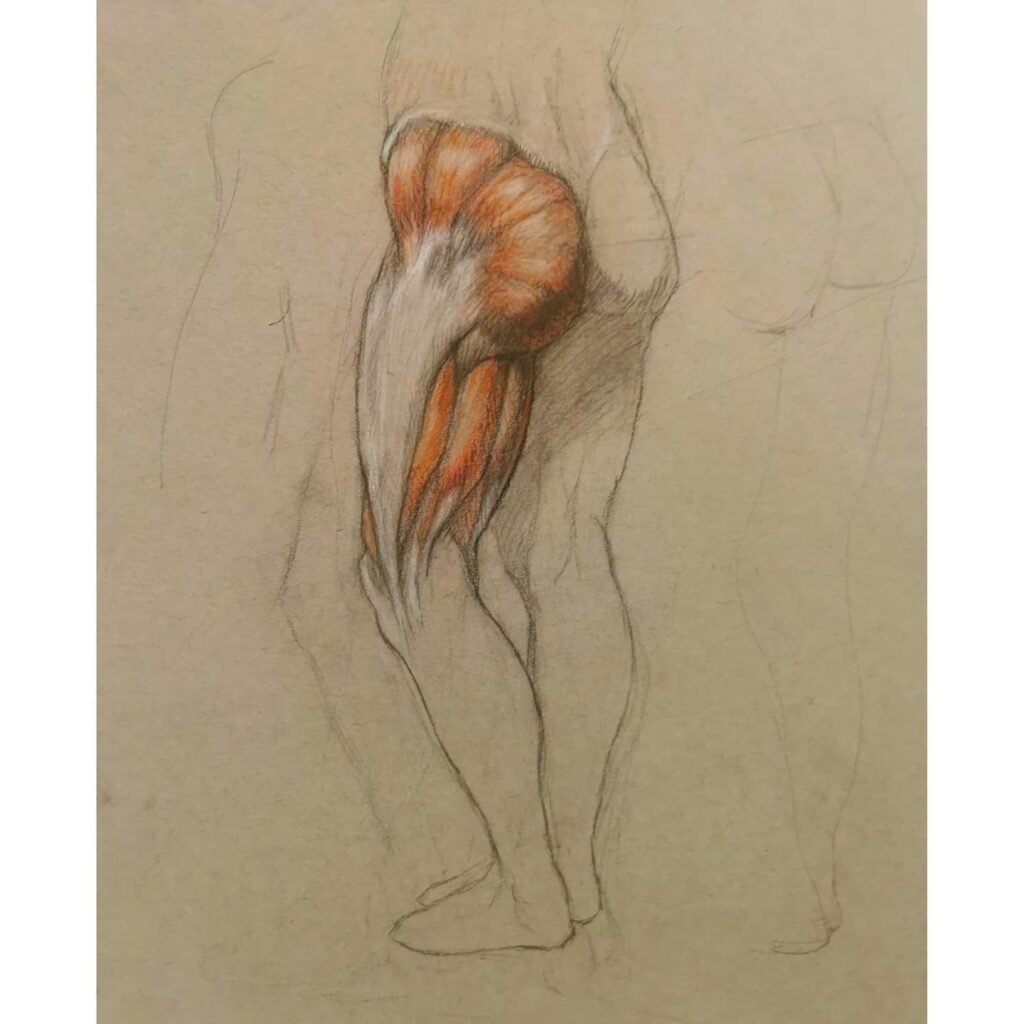 Drawing