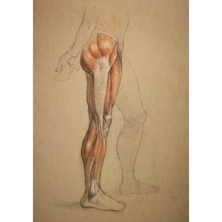 portfolio-image